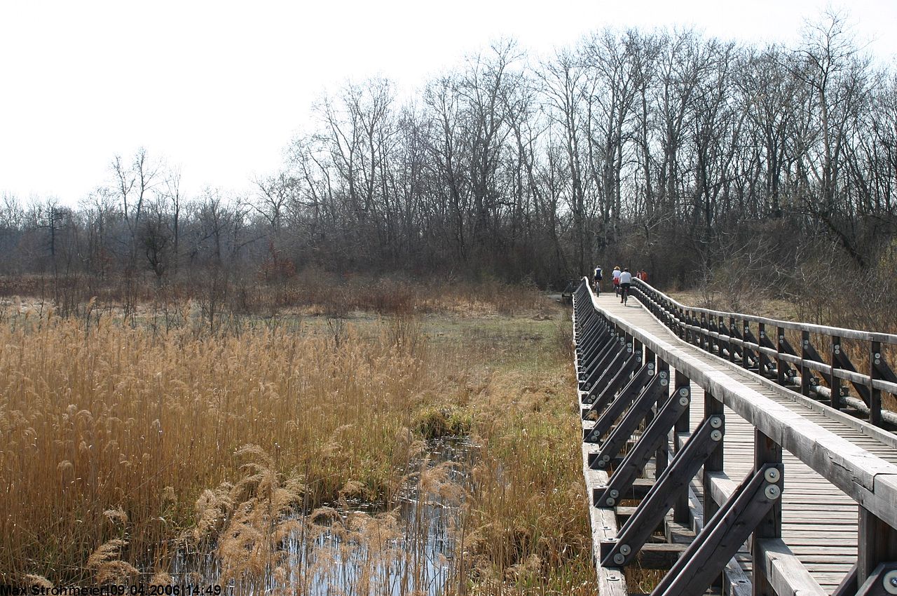 Nationalparkhaus Wien Lobau
