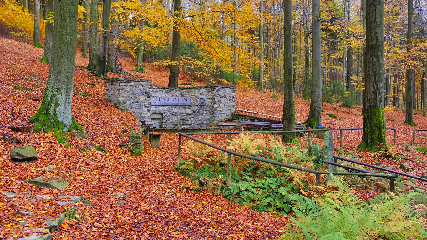 Ausflüge durch die Lobau